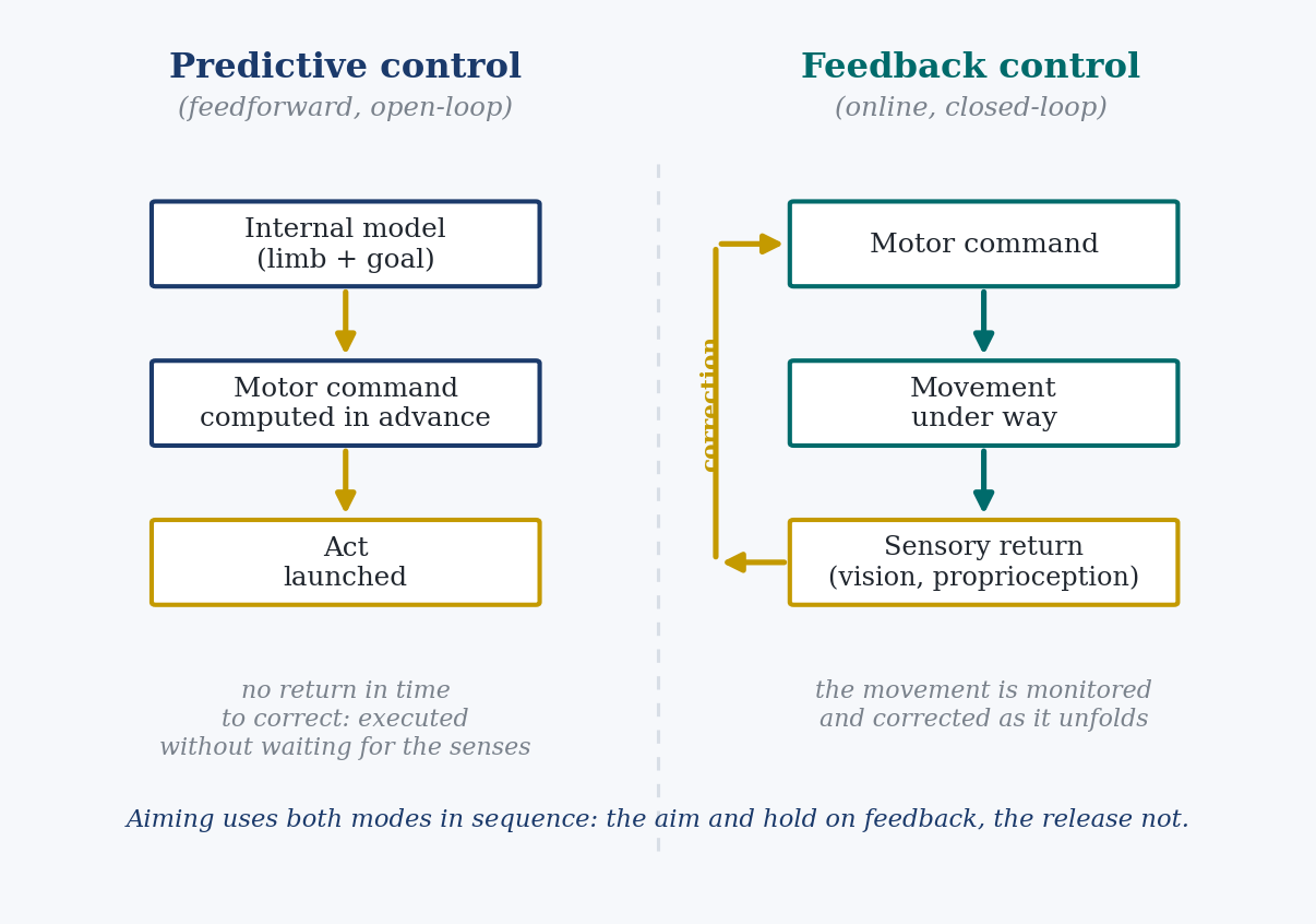 Figure 2. The two ways to control a gesture. On the left, predictive control: the command is computed beforehand and launched, with no time to correct. On the right, feedback control: the movement is monitored and corrected while it unfolds. Aim and hold use them in sequence; the release, as will be seen, does not. Original diagram for teaching purposes.