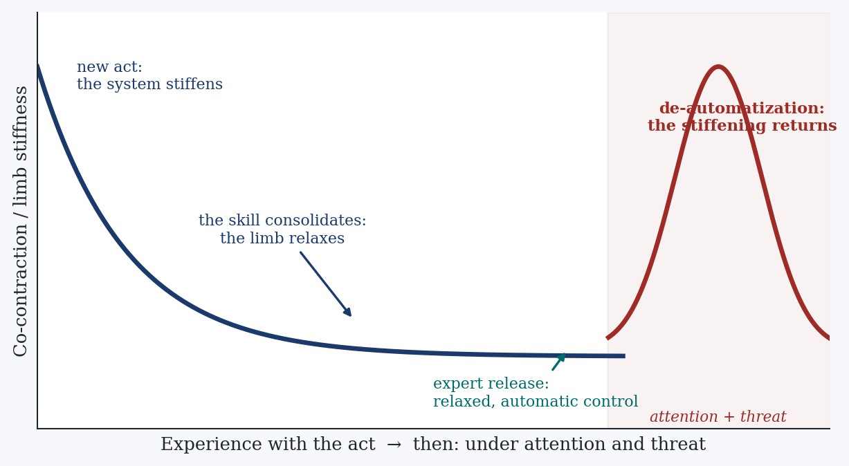 Figure 5. Stiffening across the arc of learning. Co-contraction is high when the gesture is new, falls as the skill consolidates until an expert release, soft and automatic, and can return, under attention and threat. It is this return that I call de-automatization. Original schematic representation for teaching purposes. Values representative of the trends, not original datasets.